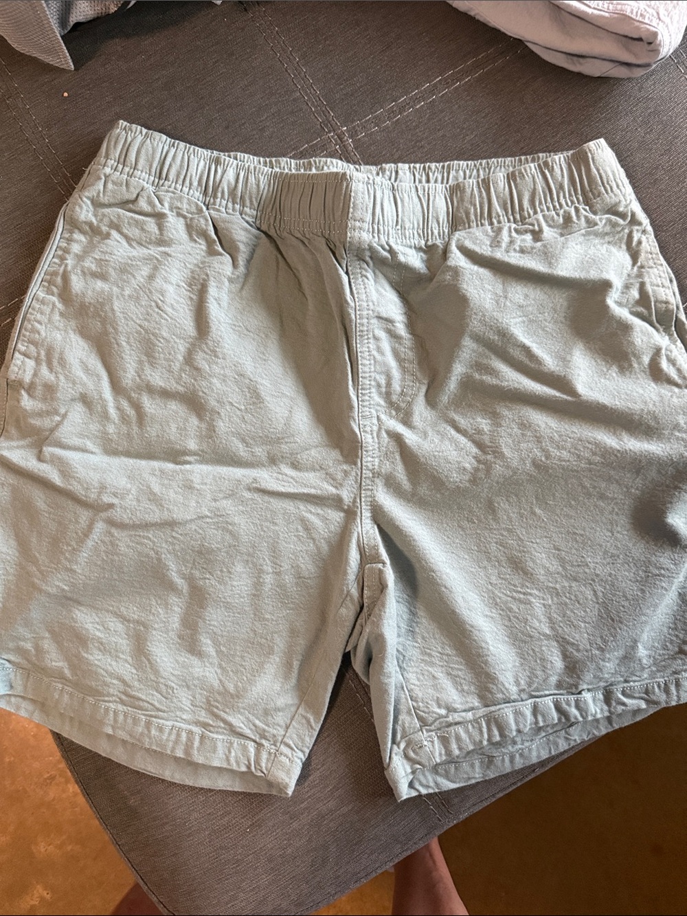 Free Fly Apparel Men's Sage Green Athletic Shorts